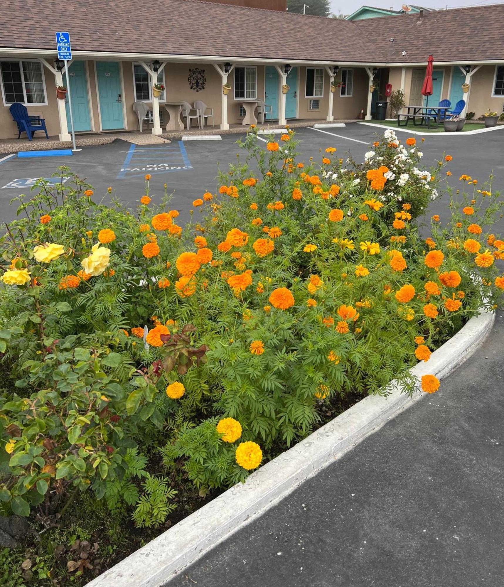 Central Coast Inn Cayucos Eksteriør billede
